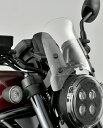 DAYTONA HONDA REBEL1100 GAoCU[ NA[ 97017