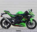 WR'S Kawasaki ZX-25R SE ('23-) SLIP-ON EhXeXTCT[ BF4280JM