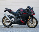 WR'S CBR250RR('20-'21) Eh^CvtGL][Xg XeXTCT[dl LA1240JM