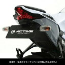 ACTIVEiANeBuj Kawasaki ZX-10R/RRi'16-'22j tF_[XLbg 1157102