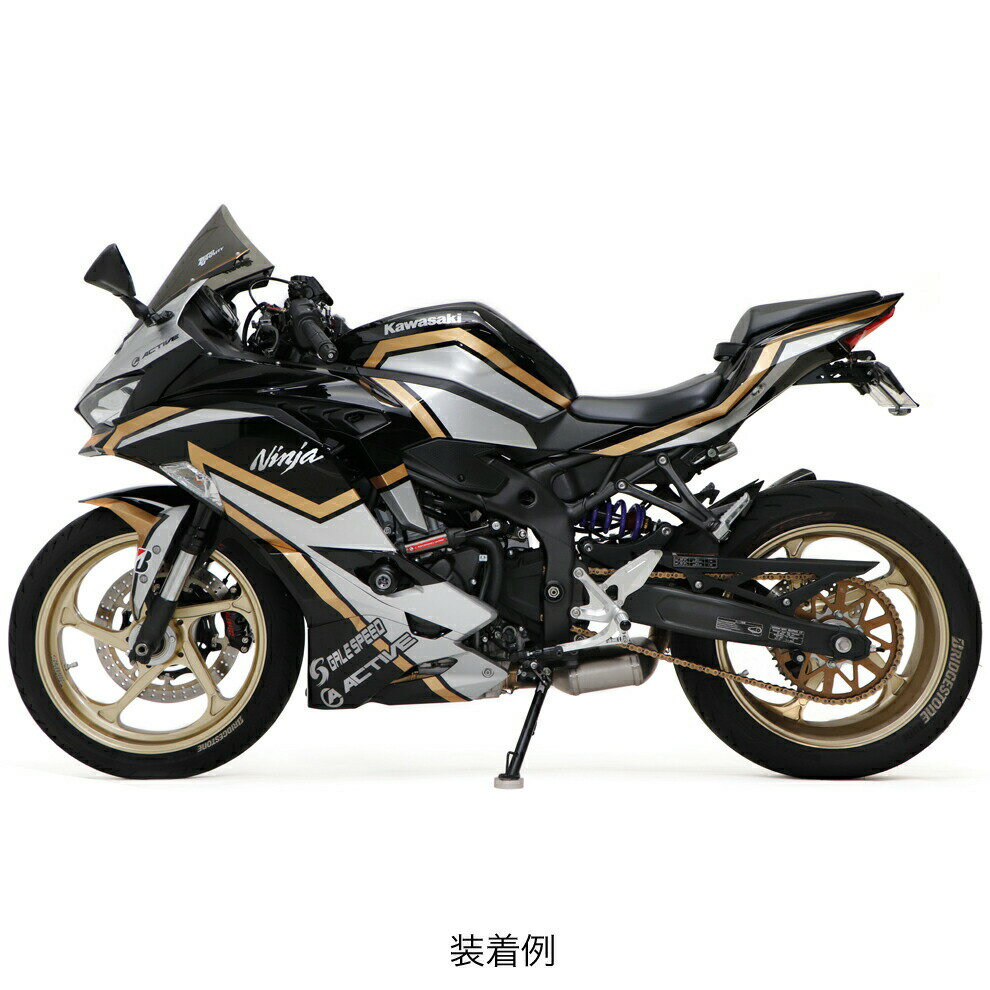 ACTIVE�ʥ����ƥ��֡� Kawasaki ZX-25R/ZX-4R �ѥե����ޥ󥹥���ѡ� 13691704