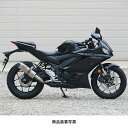 WR'S YAMAHA YZF-R25('22-)/MT-25('22-) SS-OVALXbvI}t[i\bh`^j SK2270JM