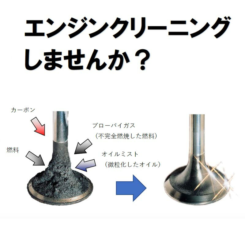 LIQUI MOLY�ʥꥭ���� �������ź�ú� MOTORBIKE 4T BIKE ADDITIVE SHOOTER �Ȥ��ڤ� ��󥷥�åȥܥȥ� 8292