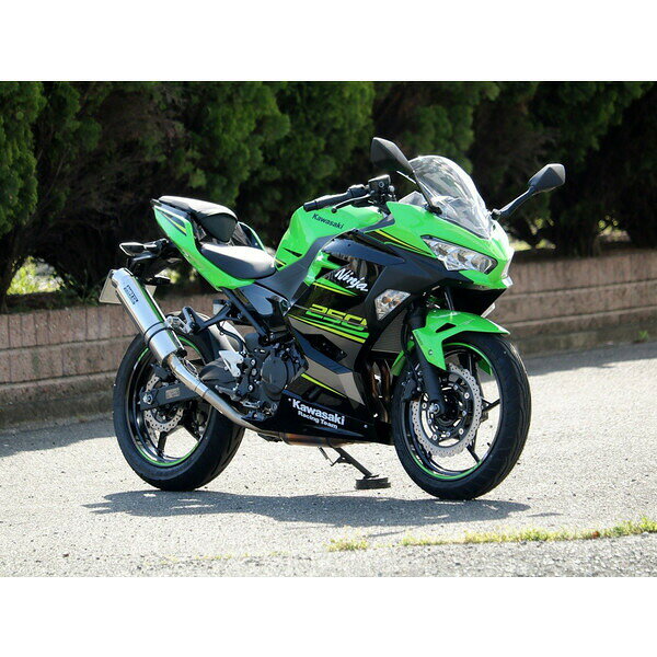 126 cc 〜250 cc  - WR'S Kawasaki Ninja250('18-) ステンレス/ステンレス ラウンドタイプスリップオンサイレンサー BF4270JM