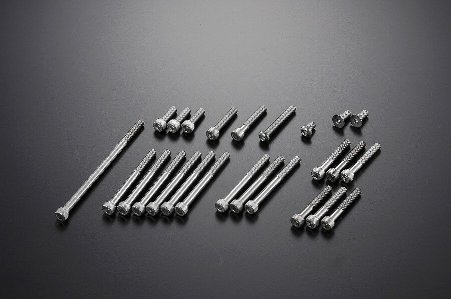 Gクラフト エンジンボルトセット 6V 横型エンジン用 39345