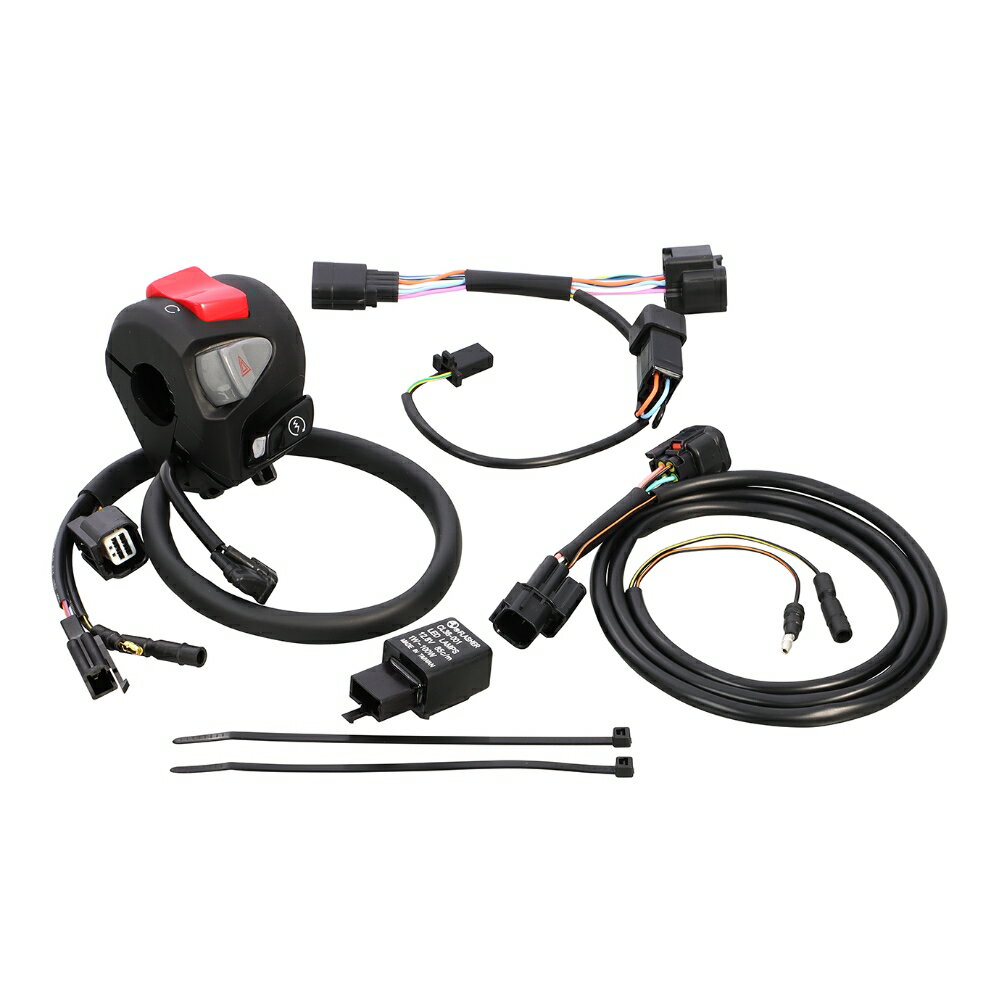 KITACO（キタコ） HONDA CT125 Rハンドルスイッチ 756-1471200