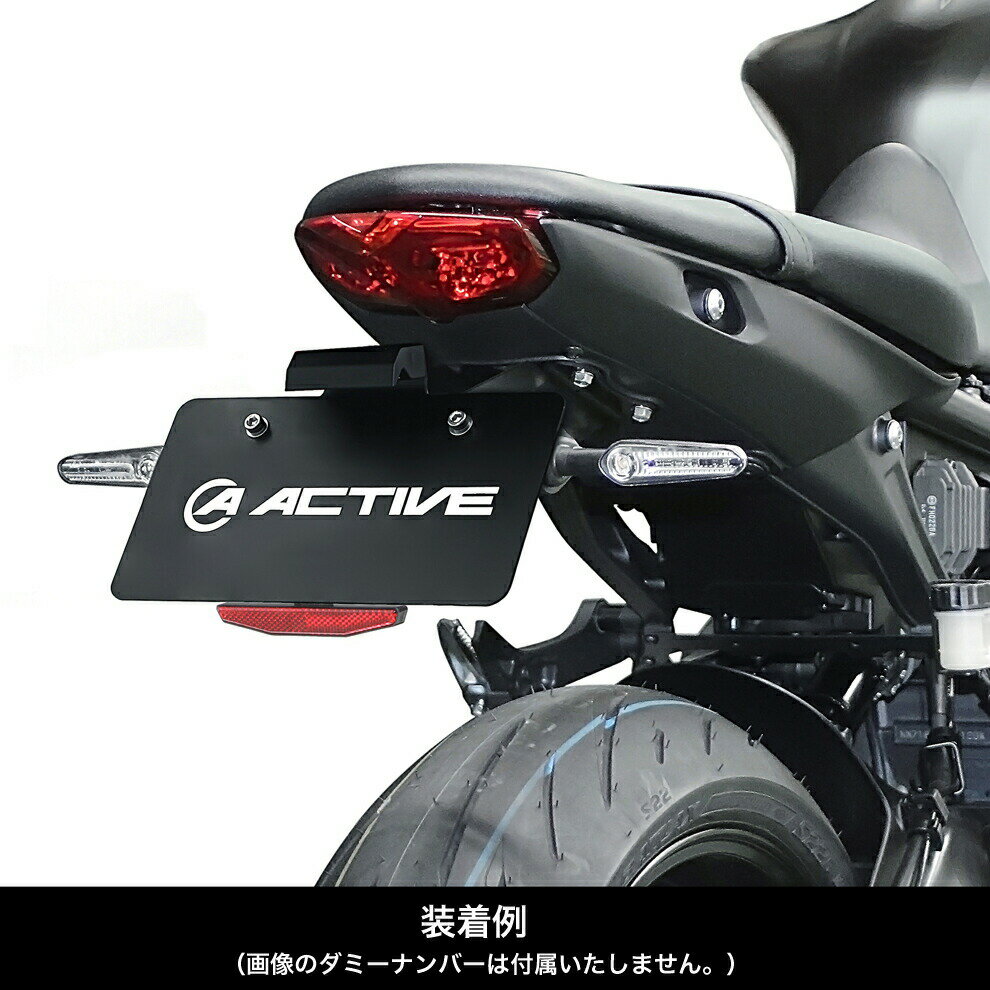 ACTIVE YAMAHA MT-09/SP ('21-'22) フェンダーレスキット 1153068