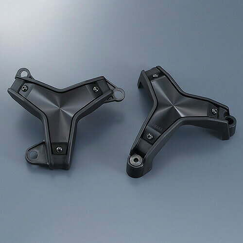 ワイズギア YAMAHA XSR900/GP('22-)/MT-09('24-) エンジンプロテクター Q5K-YSK-135-E01