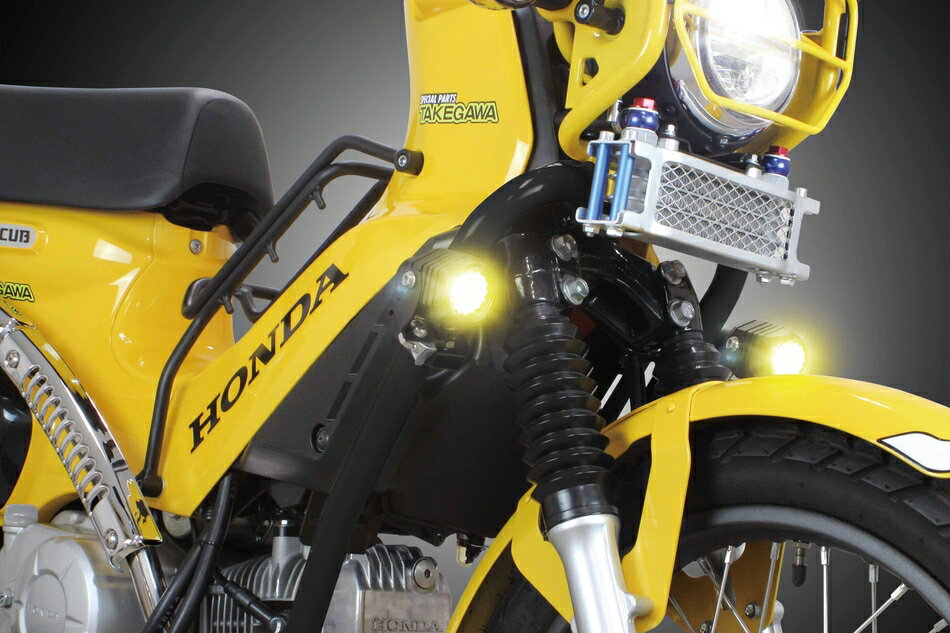 ���ڥ����ѡ������� ����������50/110 LED�ե������ץ��å�3.0(950/���󥤥�����)(��������ե졼����)(2����) 05-08-0667