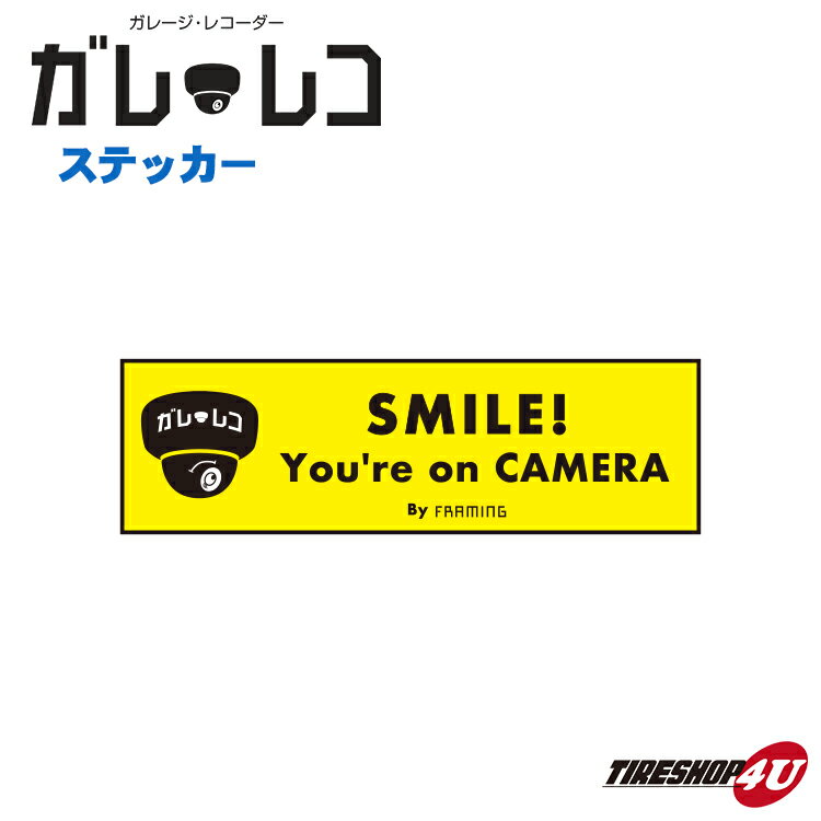 【最大2,000円OFF】FRAMING ガレ・レコ ステッカー SMILE You're on CAMERAステッカー1枚価格 フレーミ..