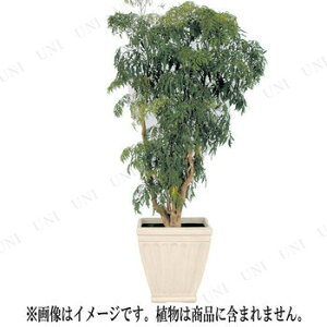 ポット ガーデニング用品 庭 ガーデニング用品 植木鉢 園芸 取寄品 アベニュー 60型 園芸 アイボリー ガーデニング用品 プランター ガーデングッズ 60型 植木鉢 プランター ポット パーティワールド ポット ガーデニング用品 庭 ガーデニング用品 植木鉢 園芸 取寄品 アベニュー 60型 園芸 アイボリー ガーデニング用品 プランター ガーデングッズ 60型 植木鉢 プランター ポット パーティワールド