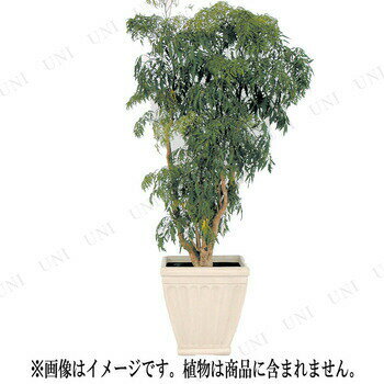 ポット ガーデニング用品 庭 ガーデニング用品 植木鉢 園芸 取寄品 アベニュー 60型 園芸 アイボリー ガーデニング用品 プランター ガーデングッズ 60型 植木鉢 プランター ポット パーティワールド