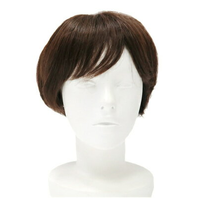 ソフティウィッグA 【 レディース 自然 かつら ファッションウィッグ 女性用 】