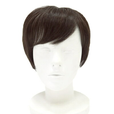 ソフティウィッグB 【 女性用 自然 レディース ファッションウィッグ かつら 】