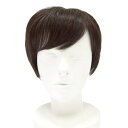 ソフティウィッグB 【 女性用 ファッションウィッグ 自然 レディース かつら 】