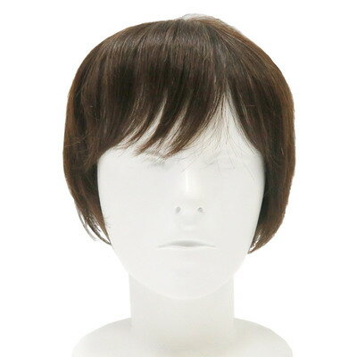 フェザーショート ライトブラウン 【 ファッションウィッグ 自然 女性用 かつら レディース 】