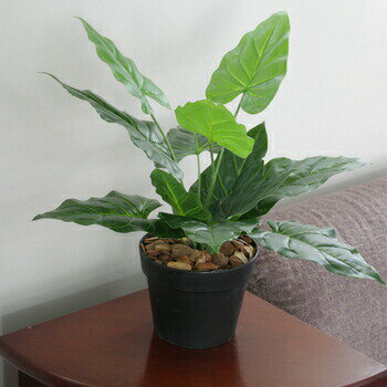人工観葉植物ビロードカズラ45cm観葉植物小さいフェイクグリーンミニインテリアグリーン葛かずらミニ観
