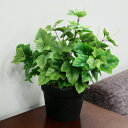 人工観葉植物 グレープリーブス 緑斑 45cm 【 観葉植物 小さい フェイクグリーン ミニ インテリアグリーン ミニサイズ 果樹木 ミニ観葉植物 】