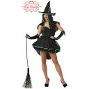 コスプレ 仮装 ウィキッド・ウィッチ 大人用(S) 【 コスプレ 衣装 ハロウィン 仮装 コスチューム 可愛い 魔女 魔法使い 余興 女性用 パーティーグッズ レディース かわいい 】(3)
