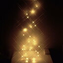 電池式LED30球 230cm光イルミネーションライト(温白色/ワイヤーコード) 【 室内 イルミネーションライト 雑貨 パーティーグッズ 電球 装飾 屋内 乾...