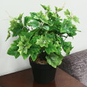 人工観葉植物 光触媒 グレープリーブス ツル 42cm 【 光触媒 フェイクグリーン 消臭 観葉植物 小さい ミニ ミニ観葉植物 ミニサイズ 抗菌 果樹木 イン...