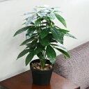 人工観葉植物 光触媒 ミニパキラ 55cm 【 光触媒 フェイクグリーン 消臭 ミニ パキラ 抗菌 インテリアグリーン 】