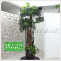 Funderful 人工観葉植物 光触媒 パームヤシ 175cm