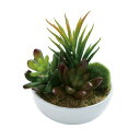 人工観葉植物 ミニサッカレンポット A 11cm 【 観葉植物 小さい フェイクグリーン ミニ ミニサイズ ミニ観葉植物 インテリアグリーン 多肉植物 】