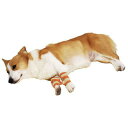 ペティオ zuttone老犬介護用床ずれ予防サポーター中 【 犬用品 イヌ ペット用品 介護用品 介護用具 ペットグッズ 】