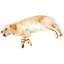 【取寄品】 ペティオ zuttone老犬介護用床ずれ予防サポーター大 【 イヌ 介護用品 犬用品 ペットグッズ ペット用品 介護用具 】