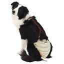 ペティオ zuttoneおむつパンツ 2L 【 ペット用品 犬 犬用品 ペットグッズ イヌ 介護用品 オムツ 介護用具 介護用おむつ 】