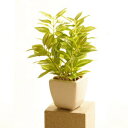 人工観葉植物 23cm ワンダリングジュー 【 小さい フェイクグリーン ミニ観葉植物 ミニサイズ インテリアグリーン 】