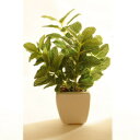 【取寄品】 人工観葉植物 23cm フィットニア 【 フェイクグリーン ミニサイズ ミニ観葉植物 小さい インテリアグリーン 】