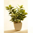 【取寄品】 人工観葉植物 23cm ポトス 【 ミニ観葉植物 小さい インテリアグリーン フェイクグリーン ミニサイズ 】