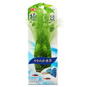 【取寄品】 ケヤリ草セットS 【 水草 水槽用品 水槽用具 ペットグッズ ペット用品 アクアリウム用品 】