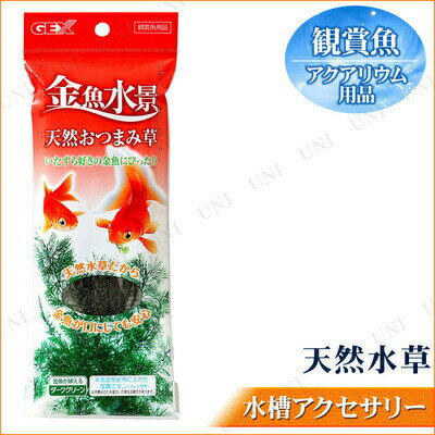 世界の 水草 シダ植物 水槽用品 水槽用具 飼育用品 ペット用品 金魚水景 ペットグッズ アクアリウム用品 ペットグッツ 天然おつまみ草 世界の 水草 シダ植物 水槽用品 水槽用具 飼育用品 ペット用品 金魚水景 ペットグッズ アクアリウム用品 ペットグッツ 天然おつまみ草