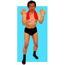 コスプレ 仮装 闘魂野郎! 【 メンズ ハロウィン パンツ 格闘技 パーティーグッズ 衣装 余興 大人用 男性用 コスチューム プロレスラー 】