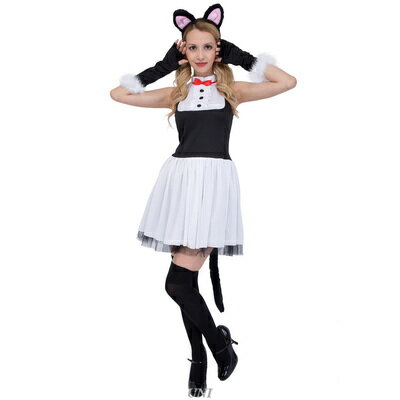 コスプレ 仮装 CLUB QUEEN Lady Cat(レディキャット) 【 コスプレ 衣装 ハロウィン 仮装 コスチューム 動物 アニマル キャット 猫 余興 女性用 ネコ パーティーグッズ レディース 大人用 】