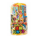 【取寄品】 NO.60 情熱バカンス 【 花火セット おもちゃ 玩具 オモチャ 夏 】