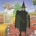 ウィキッドウィッチ 子供用S (オズの魔法使い Wicked Witch)