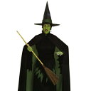 コスプレ 仮装 ウィキッドウィッチ 大人用 Std (オズの魔法使い Wicked Witch) 【 コスプレ 衣装 ハロウィン 仮装 コスチューム 魔女 パーティーグッズ ゴシックウィッチ 正規ライセンス品 余興 公式 女性用 レディース 映画キャラクター 】