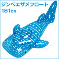 ビッグジンベエザメフロート 181cm