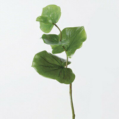 【取寄品】 人工観葉植物 シーグレープ 42cm 【 ミニサイズ 小さい インテリア ミニ観葉植物 フェイク 】