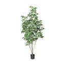 【取寄品】 人工観葉植物 シェフレラポット 148cm 【 インテリアグリーン フェイクグリーン 】