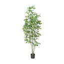 【取寄品】 人工観葉植物 シェフレラポット 148cm 【 インテリアグリーン フェイクグリーン 】