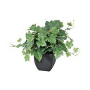 【取寄品】 人工観葉植物 グレープリーフブッシュ(ポット付) 30cm 【 インテリアグリーン フェイクグリーン ミニサイズ 小さい ミニ観葉植物 】