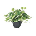 【取寄品】 人工観葉植物 ポトスブッシュ(ポット付) 30cm 【 インテリアグリーン ミニサイズ フェイクグリーン 小さい ミニ観葉植物 】