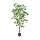 【取寄品】 人工観葉植物 ファイカスツリーポット 150cm 【 フェイクグリーン ゴムの木 インテリアグリーン ゴムノキ 】