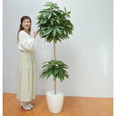 【取寄品】 フェイクグリーン 光触媒 パキラ 180cm 【 抗菌 人工観葉植物 消臭 インテリアグリーン 】
