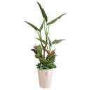 【取寄品】 フェイクグリーン 光触媒 エレファント寄植 150cm 【 消臭 抗菌 インテリアグリーン 人工観葉植物 】